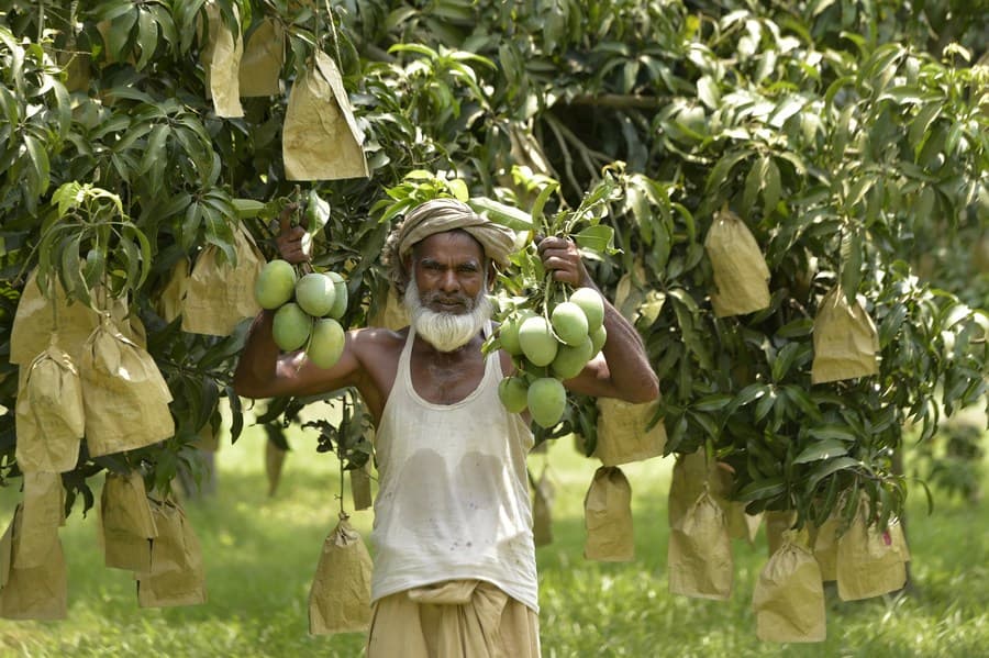 বাংলাদেশের তাজা ফলমূল
